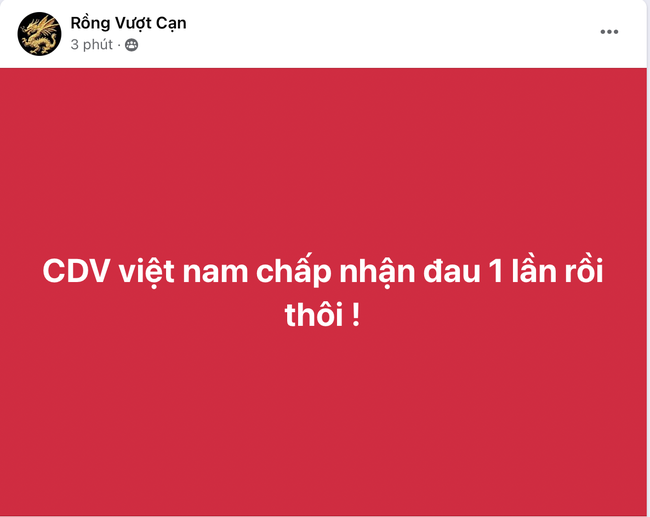 NHM Việt Nam ồ ạt “ném đá” HLV Troussier- Ảnh 14.