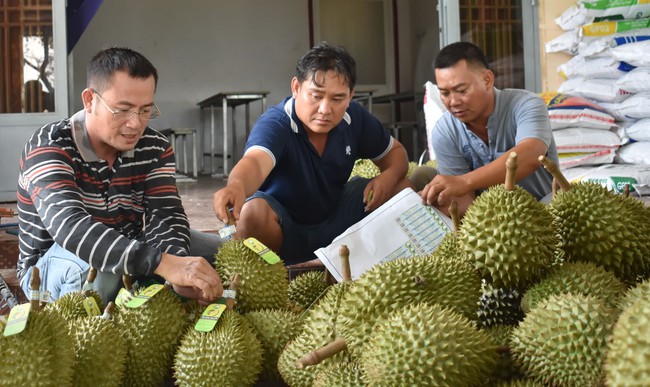 Xuất khẩu rau quả đã vượt 1 tỷ USD, Cục Bảo vệ thực vật đề nghị siết kiểm soát mã số vùng trồng sầu riêng- Ảnh 1.