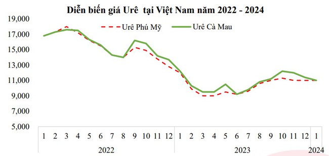 Đạm Cà Mau (DCM) ghi nhận mảng xuất khẩu tháng 2 tăng gấp 10 lần tháng trước- Ảnh 2.