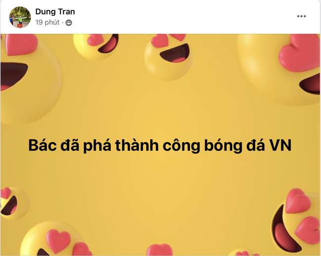 CĐV Việt Nam kêu gọi quyên góp tiền để VFF sa thải HLV Troussier- Ảnh 4.