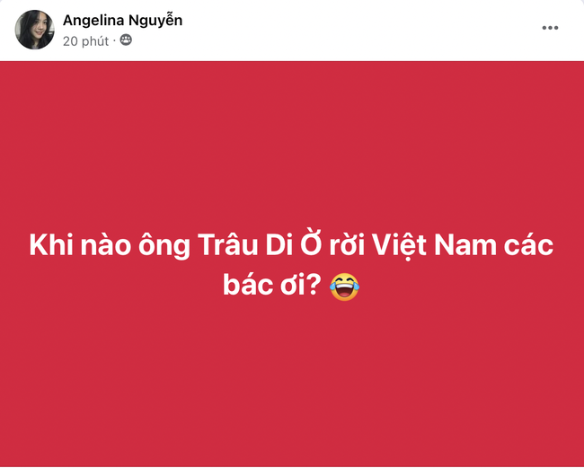 CĐV Việt Nam kêu gọi quyên góp tiền để VFF sa thải HLV Troussier- Ảnh 33.