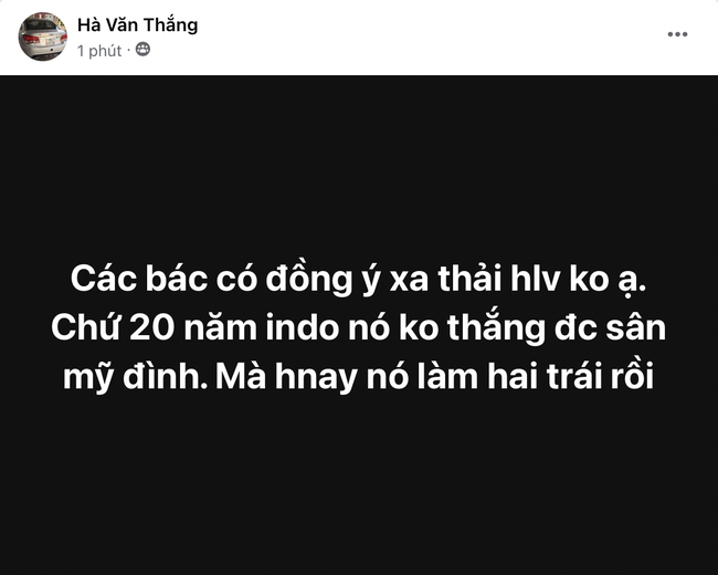 CĐV Việt Nam kêu gọi quyên góp tiền để VFF sa thải HLV Troussier- Ảnh 14.