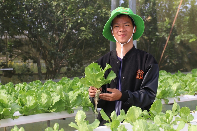 Một sinh viên ở Huế trồng rau công nghệ cao kiểu gì mà chả kịp bán, tự trả lương cao cho mình? - Ảnh 2.