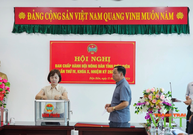 Hội nghị Quán triệt Nghị quyết Đại hội Đại biểu Hội Nông dân tỉnh Điện Biên lần thứ X, nhiệm kỳ 2023-2028

- Ảnh 3.