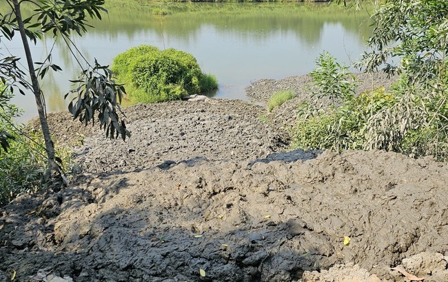 Huế: Tạm ngưng đổ bùn thải nạo vét từ hói Phát Lát xuống ao hồ sau phản ánh của người dân - Ảnh 2.
