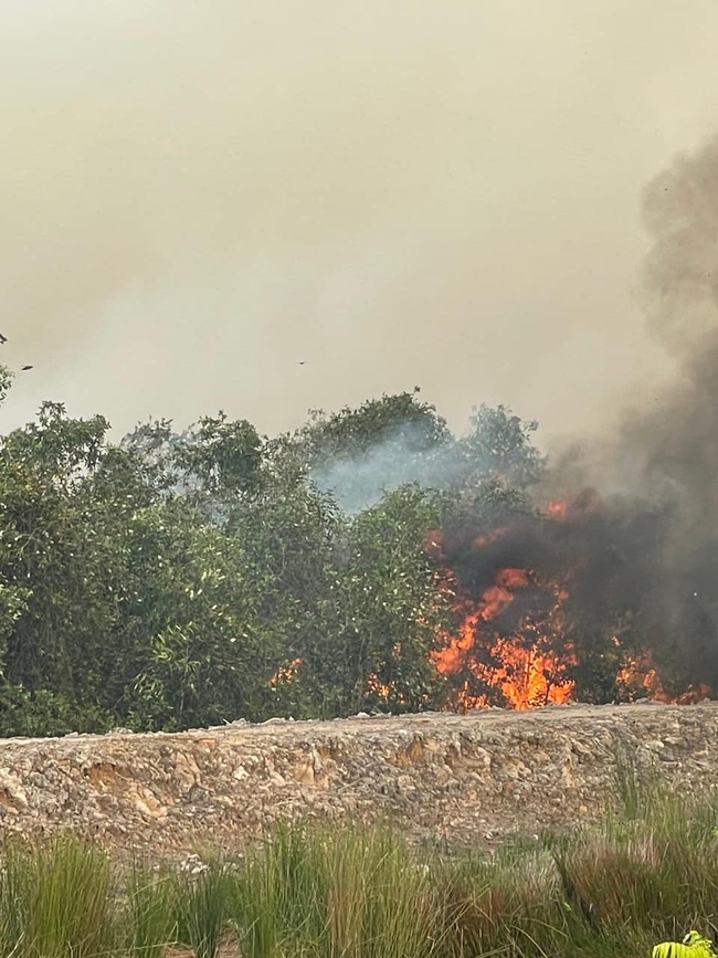 Công an đang khẩn trương điều tra vụ cháy 20ha rừng tràm ở Long An- Ảnh 2.