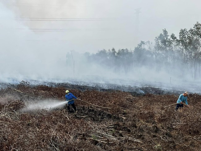 Công an đang khẩn trương điều tra vụ cháy 20ha rừng tràm ở Long An- Ảnh 3.