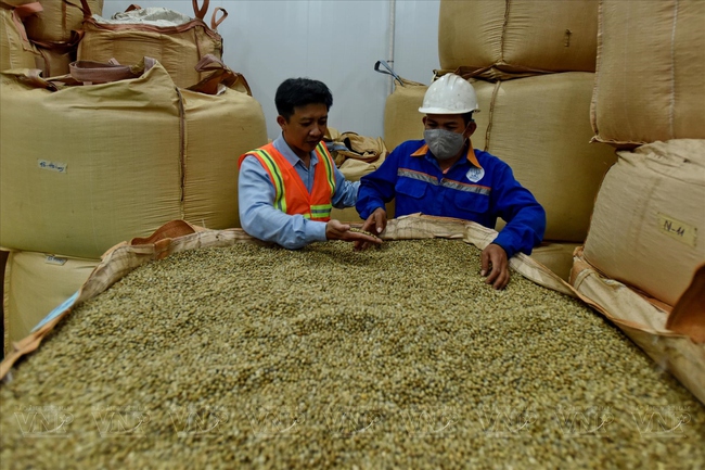 Từ việc giá cà phê tăng cao nhất lịch sử: “Định hình” lại sản xuất, kinh doanh cà phê xuất khẩu- Ảnh 2.
