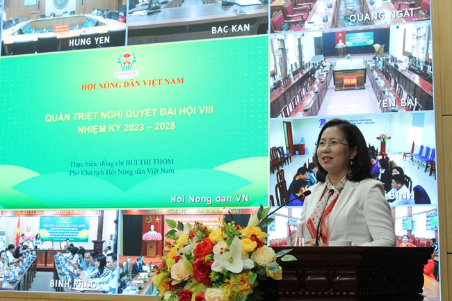 Hiện thực hóa mục tiêu Nghị quyết Đại hội VIII Hội Nông dân Việt Nam bằng mô hình, sản phẩm cụ thể- Ảnh 1.