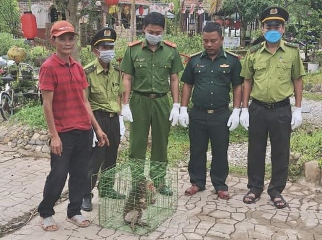 Người dân ở Thừa Thiên Huế giao nộp khỉ mặt đỏ, rùa hộp trán vàng miền Trung, cú lợn lưng xám cho kiểm lâm- Ảnh 1.