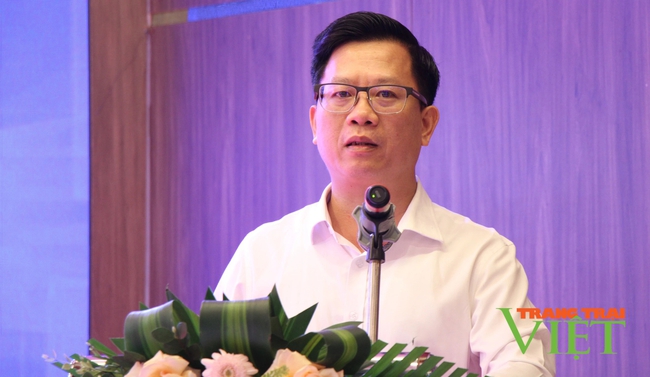 Thúc đẩy liên kết vùng trong phát triển thương mại điện tử tại Điện Biên và các tỉnh Tây Bắc

- Ảnh 1.