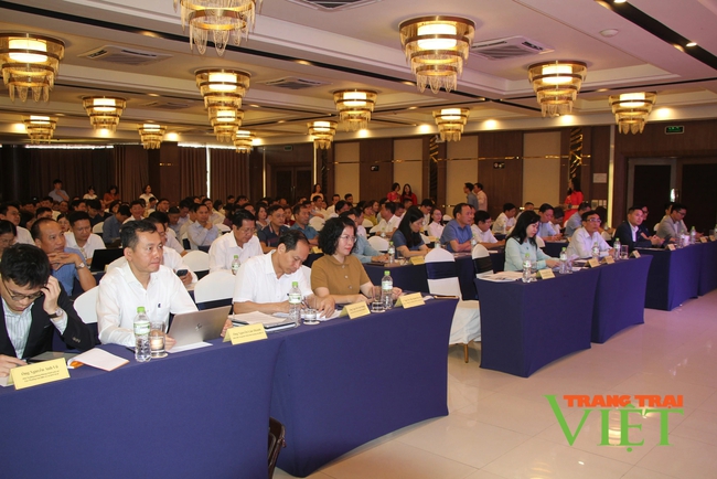 Thúc đẩy liên kết vùng trong phát triển thương mại điện tử tại Điện Biên và các tỉnh Tây Bắc

- Ảnh 2.