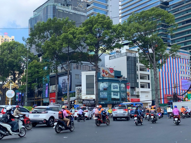 Chuyên gia đô thị: Nếu chặt hơn 400 cây xanh để làm Metro số 2, phải trồng lại gấp đôi- Ảnh 1.