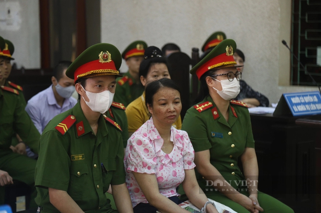 Xét xử phúc thẩm vụ án mẹ nữ sinh giao gà ở Điện Biên: Hội đồng xét xử tuyên y án sơ thẩm- Ảnh 1.