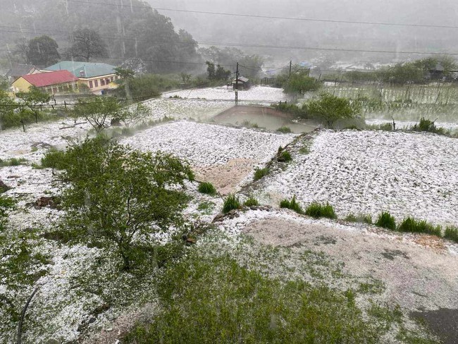 Sơn La thiệt hại gần 55 tỷ đồng do giông lốc và mưa đá- Ảnh 1.