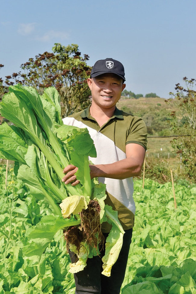 Một “Kỹ sư về vườn” ở Lâm Đồng làm nông nghiệp thuận tự nhiên kiểu gì mà người ta kéo đến xem?- Ảnh 2.