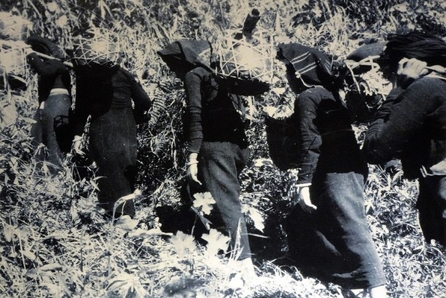 Những người phụ nữ thầm lặng, kiên cường trong Chiến dịch Điện Biên Phủ- Ảnh 2.