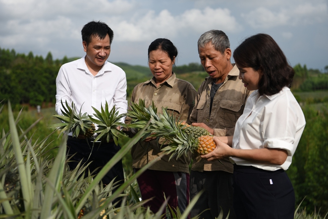 Hội Nông dân Bắc Giang “nâng đỡ”, hội viên nâng tầm sản phẩm OCOP- Ảnh 2.