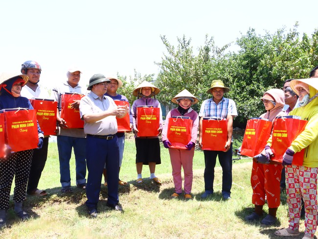 Thủ tướng Phạm Minh Chính khảo sát tình hình hạn hán, sản xuất của nông dân Ninh Thuận- Ảnh 7.