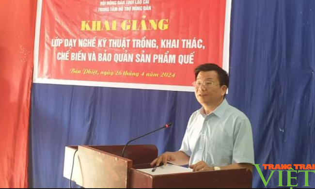 Hội Nông dân tỉnh Lào Cai: Mở lớp dạy trồng, khai thác, chế biến và bảo quản sản phẩm quế cho nông dân- Ảnh 2.