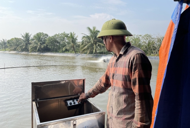 Nông dân Quảng Ninh đầu tư vốn Quỹ Hỗ trợ nông dân vào mô hình nuôi cá trắm đen cho thu nhập cao- Ảnh 2.