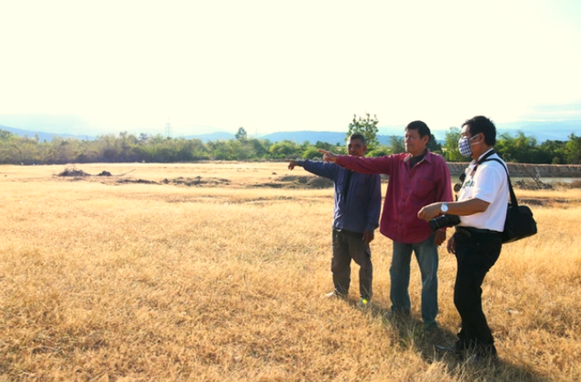 "Nằm dài trên giấy", dự án chăn nuôi bò sữa 180 tỷ của công ty Việt – Úc ở Ninh Thuận nay đã chấm dứt- Ảnh 1.