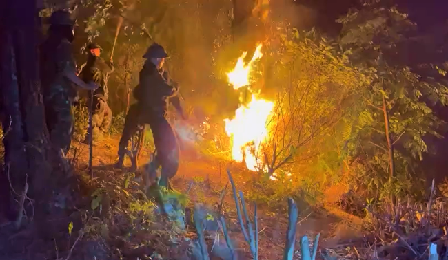 Cháy rừng ở Nghệ An, trong đêm hàng trăm người lao lên rừng dập lửa - Ảnh 1.