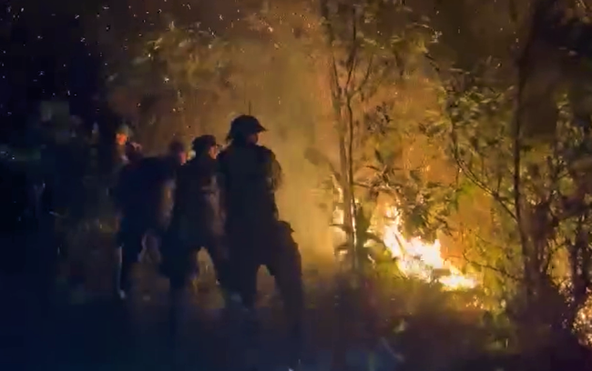 Cháy rừng ở Nghệ An, trong đêm hàng trăm người lao lên rừng dập lửa - Ảnh 2.