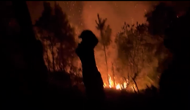 Cháy rừng ở Nghệ An, trong đêm hàng trăm người lao lên rừng dập lửa - Ảnh 3.