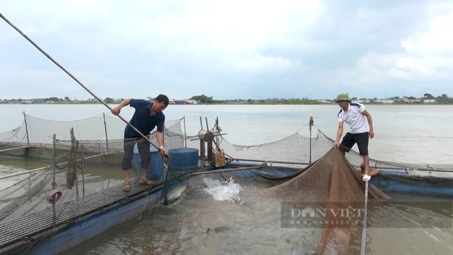 Hội Nông dân Bắc Ninh hỗ trợ hội viên chuyển đổi số, thúc đẩy tăng doanh số bán hàng- Ảnh 2.