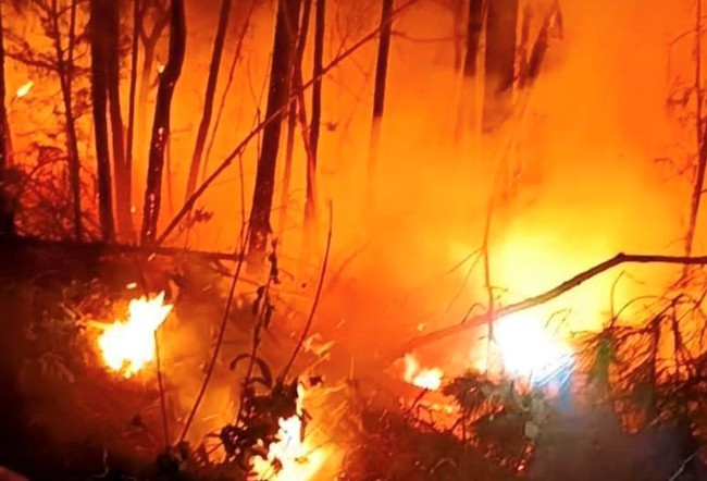 Cháy rừng ở Nghệ An, lửa đỏ rực một góc trời, huy động hơn 700 người xuyên đêm dập lửa khống chế đám cháy- Ảnh 3.