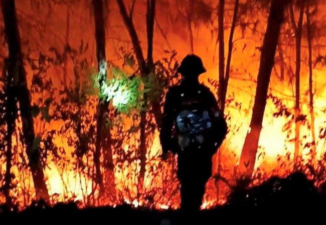 Cháy rừng ở Nghệ An, lửa đỏ rực một góc trời, huy động hơn 700 người xuyên đêm dập lửa khống chế đám cháy- Ảnh 4.