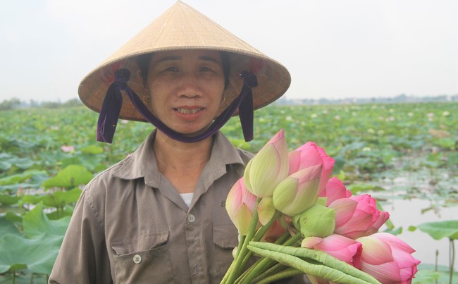 Cánh đồng Kim Liên ở Nghệ An trồng loại cây gì mà mùa này thơm ngát, ai đi qua cũng trầm trồ?- Ảnh 11.