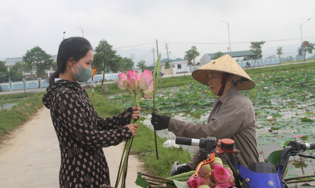 Cánh đồng Kim Liên ở Nghệ An trồng loại cây gì mà mùa này thơm ngát, ai đi qua cũng trầm trồ?- Ảnh 12.