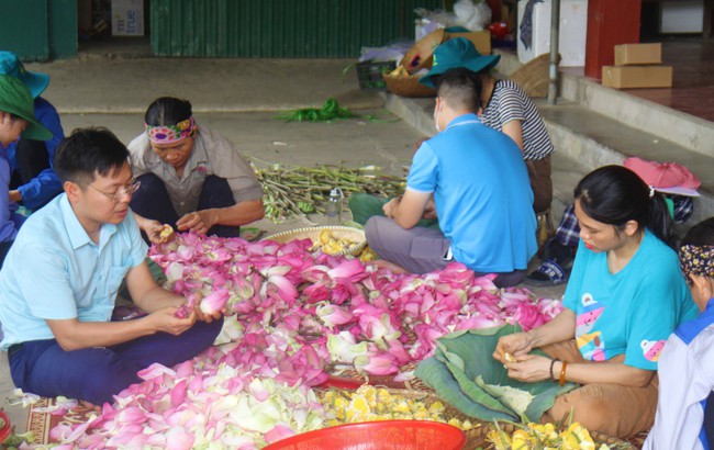 Cánh đồng Kim Liên ở Nghệ An trồng loại cây gì mà mùa này thơm ngát, ai đi qua cũng trầm trồ?- Ảnh 15.