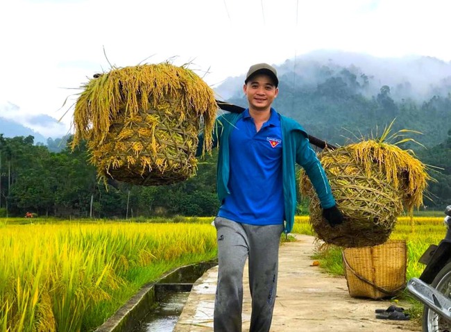 Lúa đông xuân chín vàng rực trên các cánh đồng ở Nghệ An, người dân phấn khởi vì năm nay lúa được mùa- Ảnh 9.