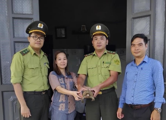 Thấy con động vật hoang dã đi lạc vào nhà, một người dân Thừa Thiên Huế bắt, giao nộp ngay cho kiểm lâm- Ảnh 1.