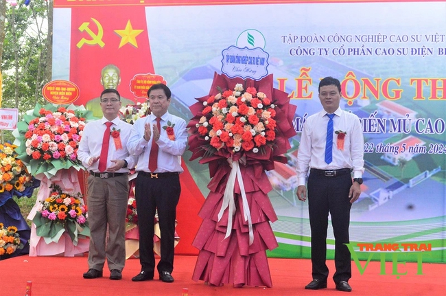 Xây dựng nhà máy chế biến mủ cao su đầu tiên tại tỉnh Điện Biên

- Ảnh 1.