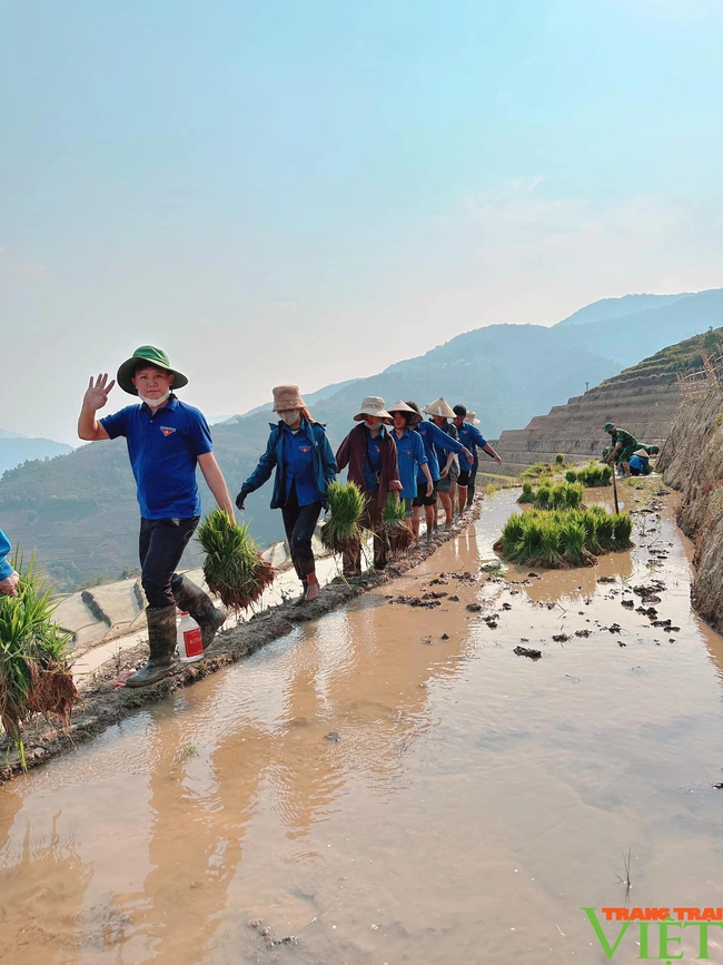 Xúc động hình ảnh tuổi trẻ huyện Mường Tè bì bõm lội ruộng cấy lúa giúp dân- Ảnh 7.