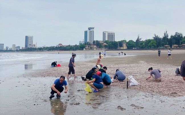 1km bờ biển Cửa Lò của tỉnh Nghệ An bỗng xuất hiện vô số sò huyết, dân thi nhau ra nhặt- Ảnh 2.