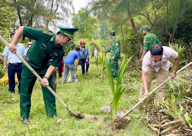 Thừa Thiên Huế: Hội Nông dân nhân rộng mô hình trồng dừa phòng hộ ven biển- Ảnh 2.