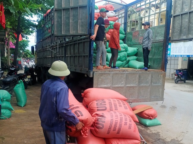 Nông dân nơi này ở Nghệ An bán lúa tươi, nhà nào cũng phấn khởi vì giá lúa lên đỉnh- Ảnh 1.