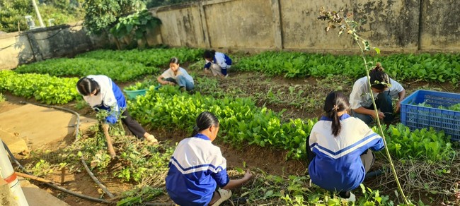 Trường PTDTBT THCS Pu Nhi: Quan tâm chăm lo học sinh bán trú vùng cao- Ảnh 3.