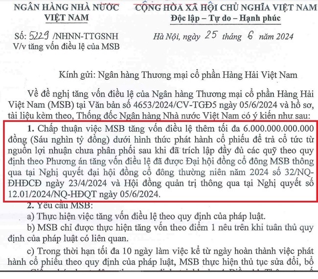 MSB được Ngân hàng Nhà nước chấp thuận tăng vốn điều lệ lên hơn 1 tỷ USD- Ảnh 1.