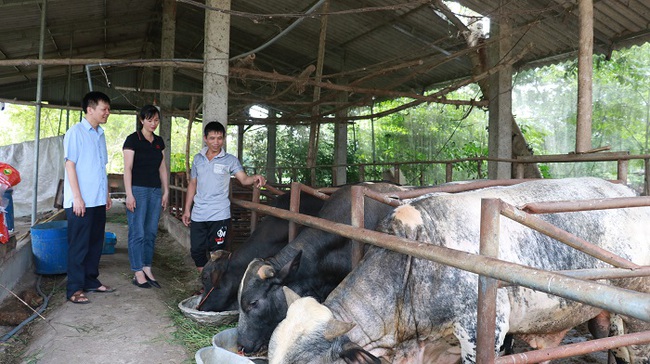 Nguồn vốn Quỹ Hỗ trợ nông dân giúp nông dân một huyện ở Bắc Giang xây dựng nhiều mô hình hiệu quả- Ảnh 1.