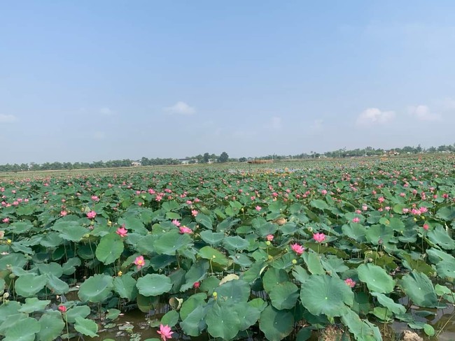 Chủ tịch Hội Nông dân tỉnh Thừa Thiên Huế khảo sát các mô hình kinh tế nông nghiệp - Ảnh 2.