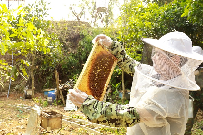 Nông dân Lào Cai xây dựng thành công sản phẩm mật ong núi đá, nhà nào cũng có của ăn của để- Ảnh 3.