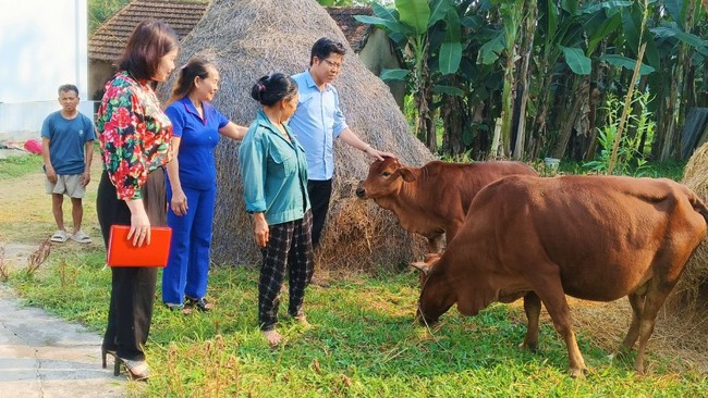 Nhiều gửi gắm, kỳ vọng trước thềm lễ ký kết chương trình phối hợp giữa Báo NTNN/Dân Việt và Hội Nông dân tỉnh Nghệ An- Ảnh 3.