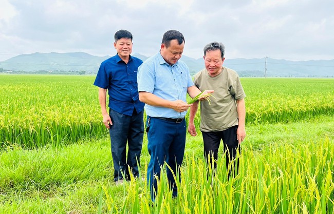 Hội Nông dân tỉnh Nghệ An những con số "biết nói" minh chứng rõ nét cho hiệu quả công tác Hội- Ảnh 5.