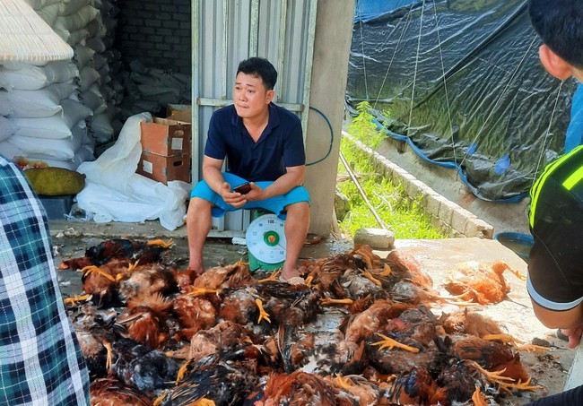 Nghệ An: Hệ thống điện gặp sự cố, 5.000 con gà chết la liệt, người dân xúm vào mua ủng hộ chủ trang trại- Ảnh 1.